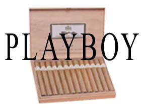 Playboy Lonsdale Natural
